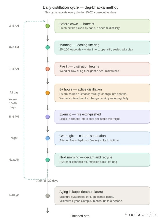 Step-by-step timeline showing the daily deg-bhapka attar distillation cycle, from predawn flower harvest through loading the copper still, 8 hours of distillation, overnight settling, and morning hydrosol recycling, repeated for 15 to 20 days, followed by aging in leather flasks for 1 to 10 years